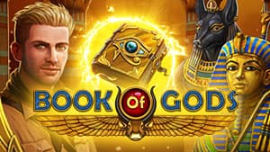 Book of Gods BF Games