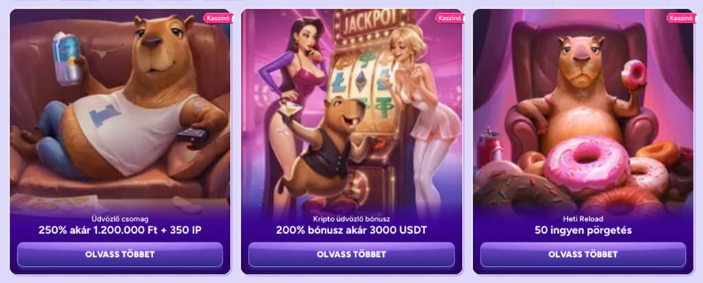 élő cashback promóciók, SpinbaraCasino